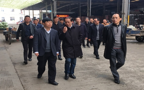 2017年3月16日下午，嘉興市委常委、常務(wù)副市長樓建明帶領(lǐng)市級相關(guān)部門負(fù)責(zé)人視察嘉興蔬菜批發(fā)市場