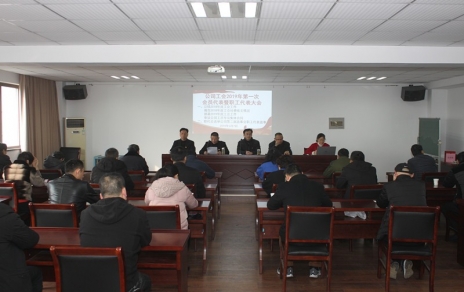 履行“兩會”職責、促進企業(yè)發(fā)展