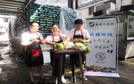 創(chuàng)意直播帶貨,本期專(zhuān)欄：蘭州高原夏菜！