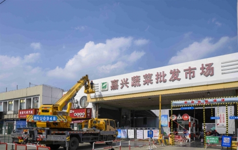 進(jìn)無止境，“嘉農(nóng)?蔬菜人”